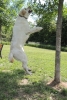 Dogs at Camp