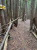 Trail