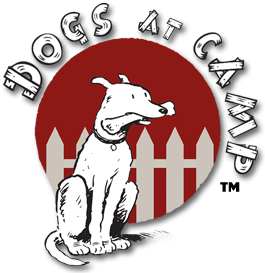 Dogs at Camp | Toronto's Favourite Dog Boarding Kennel & Camp!