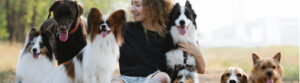 Dogs at Camp Fun