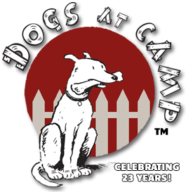 Dogs at Camp | The GTA’s Favourite Dog Boarding Kennel & Camp! ★★★★★