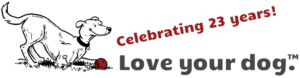 Dogs at Camp Celebrates 20 Years!