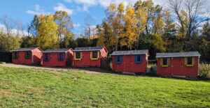 Dogs at Camp Cabins
