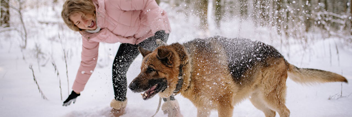 Dogs at Camp Winter