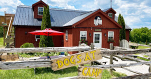 Dogs at Camp