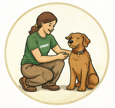 Highly trained Dogs at Camp staff.