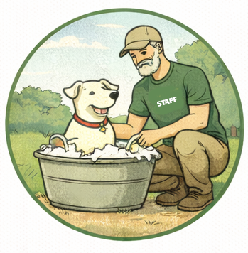 Dogs at Camp has a different approach to dog care.