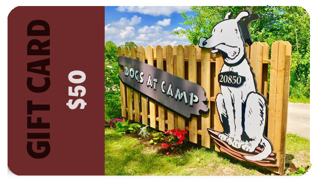 Dogs at Camp Gift Card