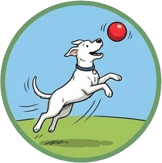 Dogs at Camp has over 23 yeas of experience caring for dogs.