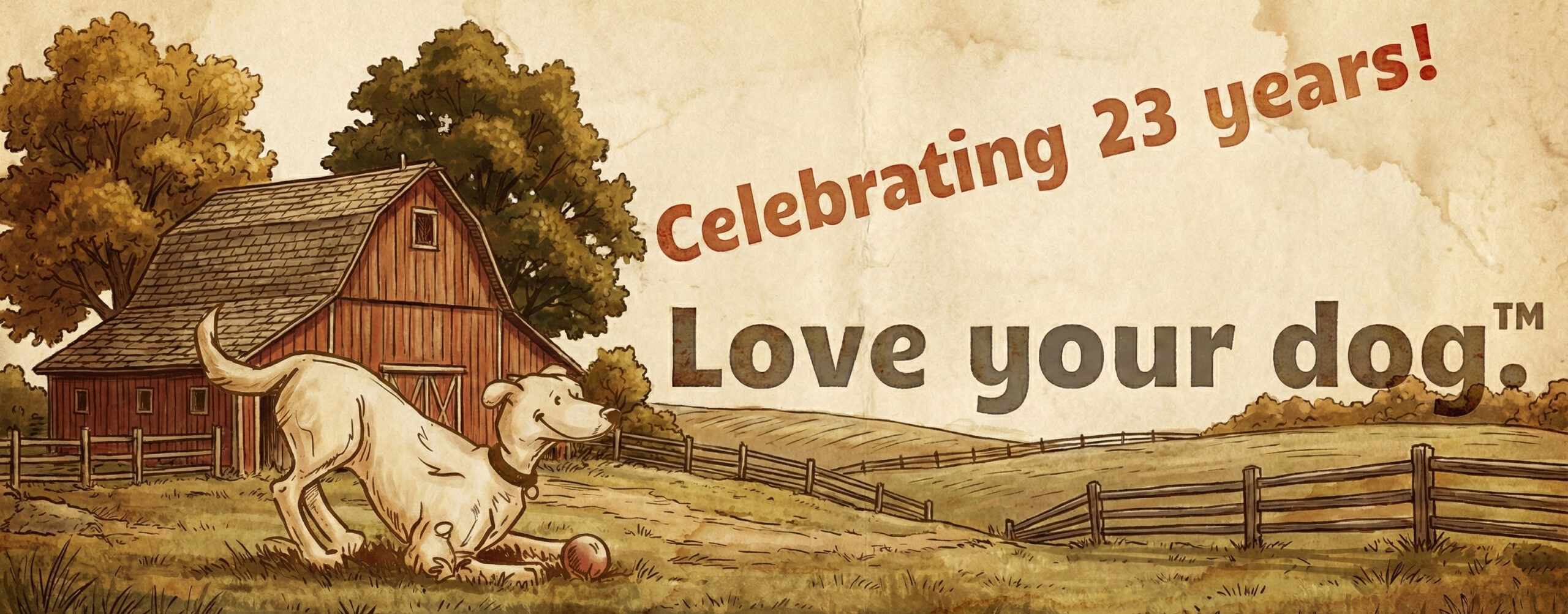 Dogs at Camp Love Your Dog