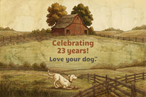 Love Your Dog, Dogs at Camp
