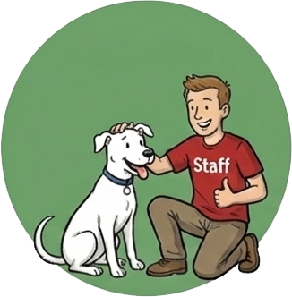 Safe play at Dogs at Camp