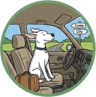 Dogs at Camp Toronto and Durham Region