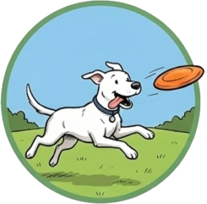 What dogs do at Dogs at Camp