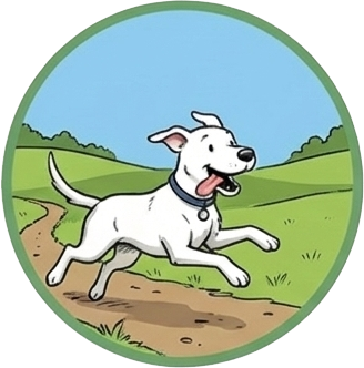 Is my dog suitable for camp?