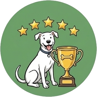 Why Families Choose Dogs at Camp