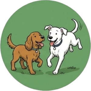 Dogs at Camp Typical Day