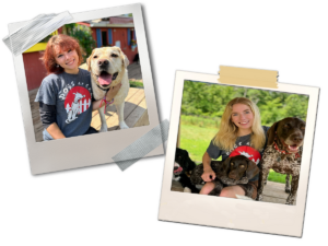 Dogs enjoying outdoor play and walking trails during dog day camp