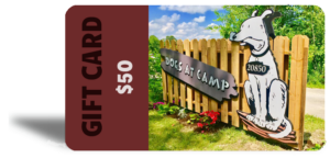 Dogs at Camp Gift Card