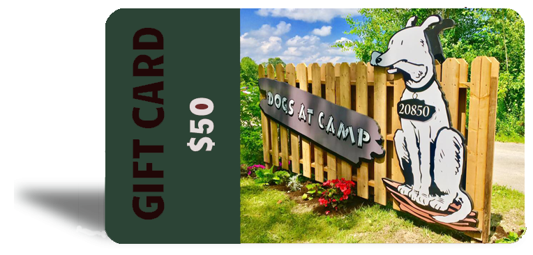 Dogs at Camp gift cards