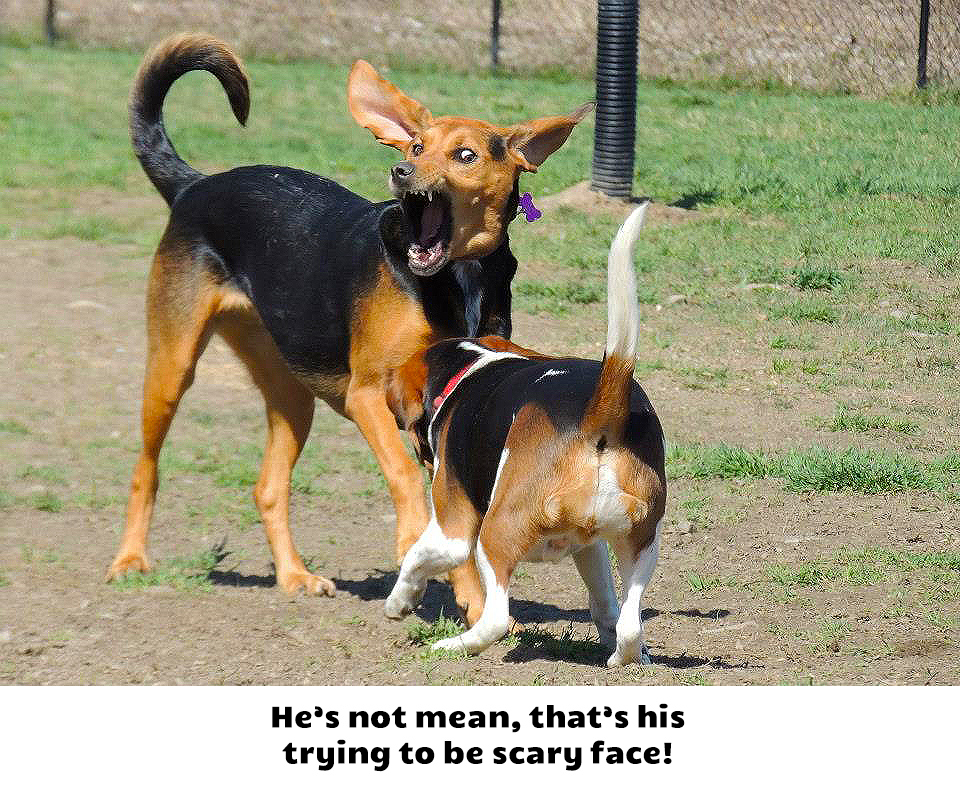 I'm really not mean.