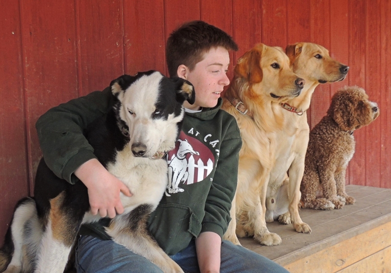 Dogs at Camp