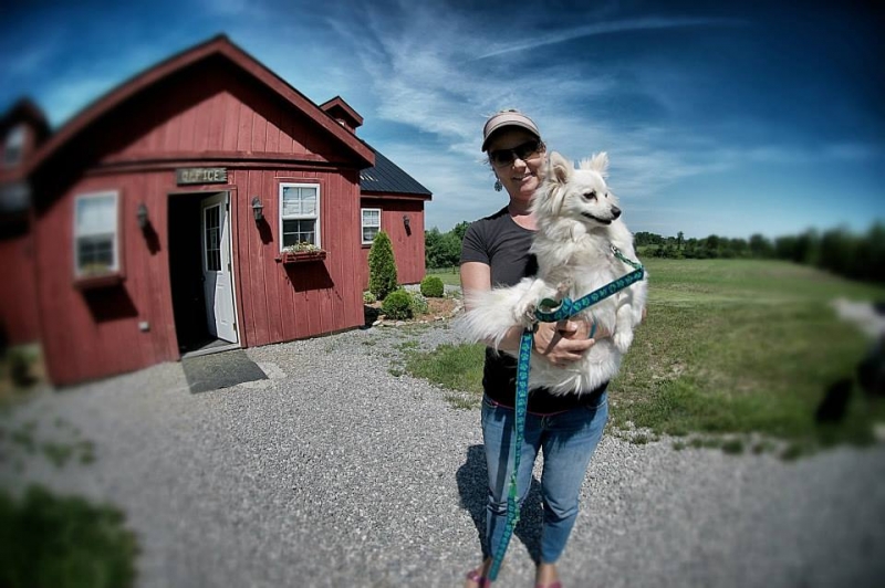 Dogs at Camp