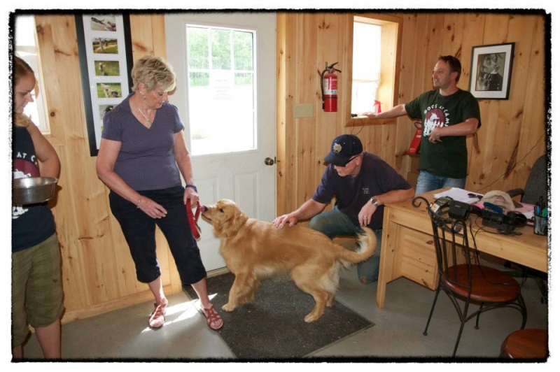 Dogs at Camp