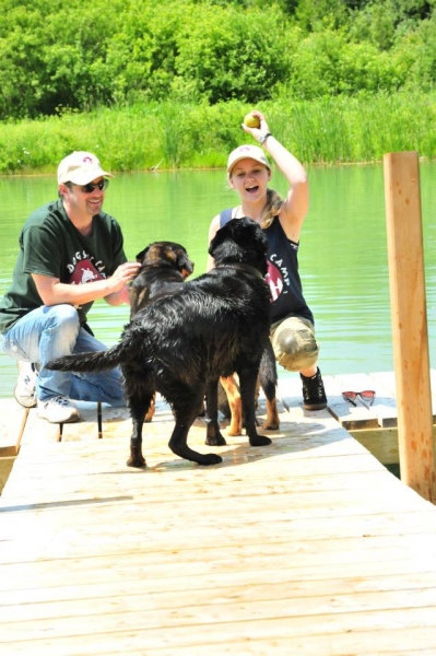 Dogs at Camp