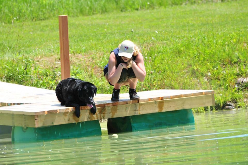 Dogs at Camp