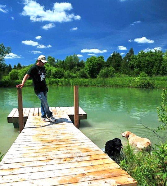 Dogs at Camp