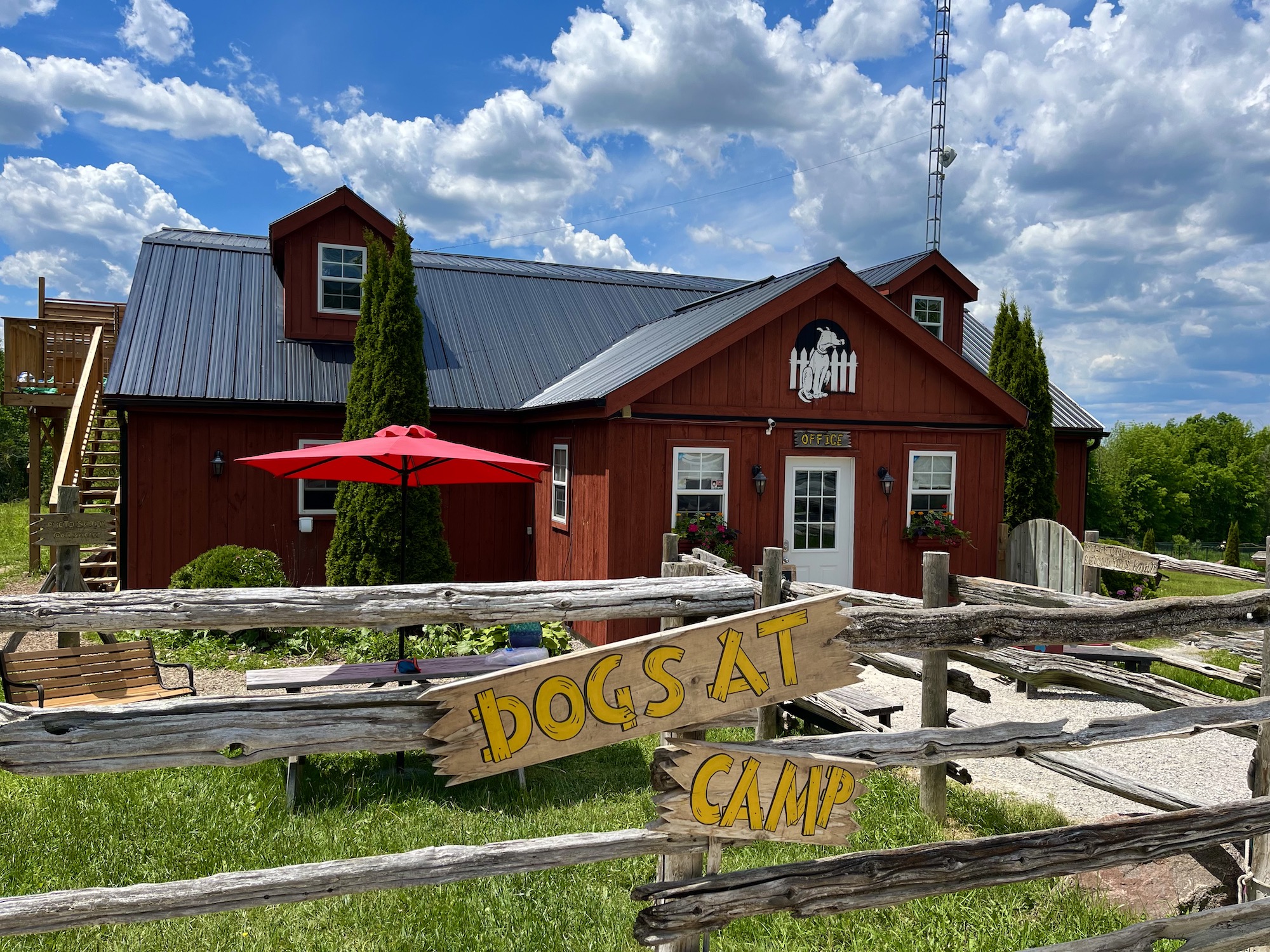 Dogs_at_Camp_Barn