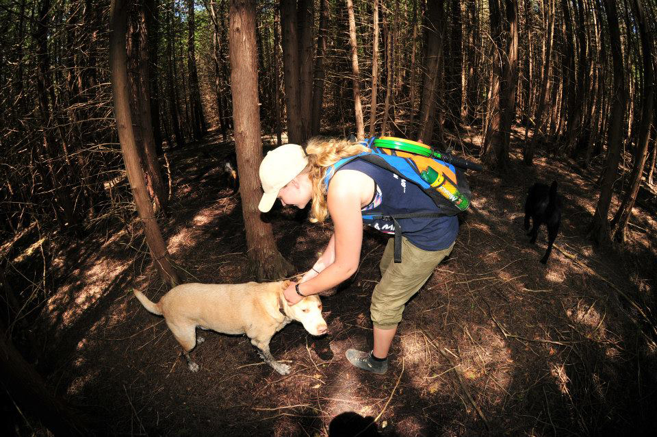 Dogs at Camp