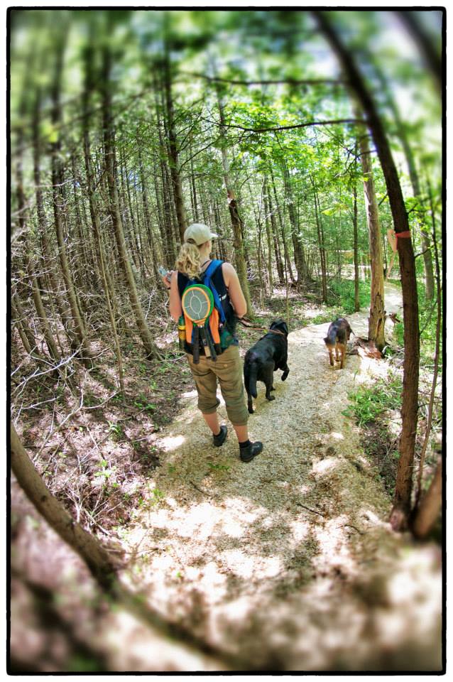 Dogs at Camp
