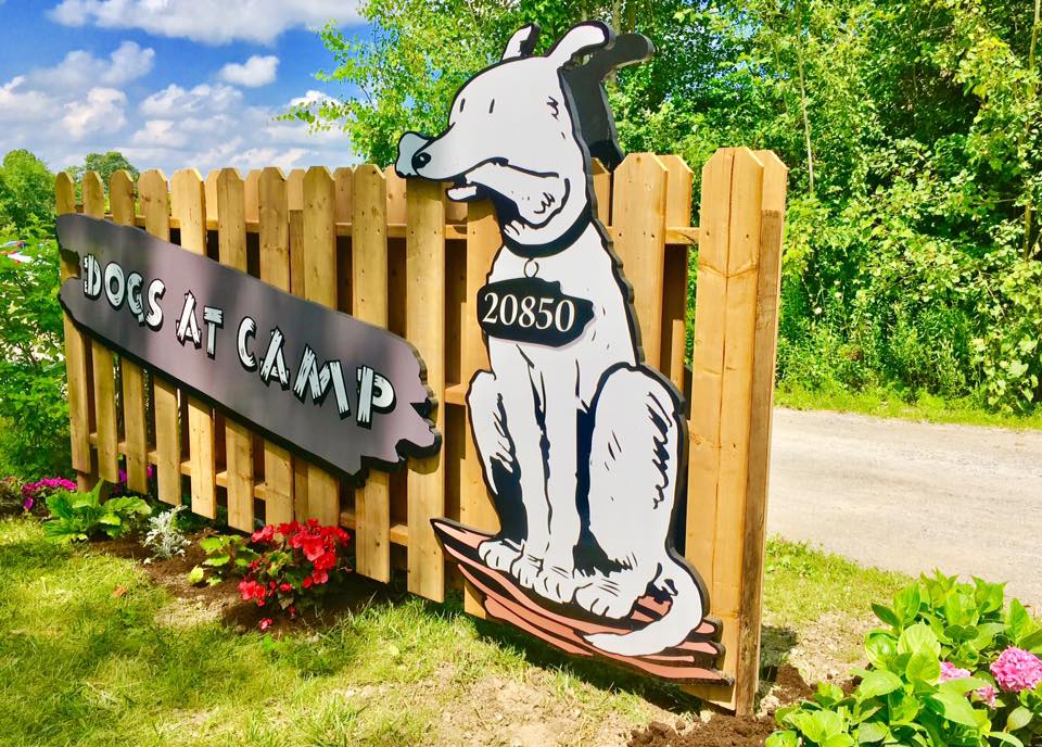 dogs_at_camp