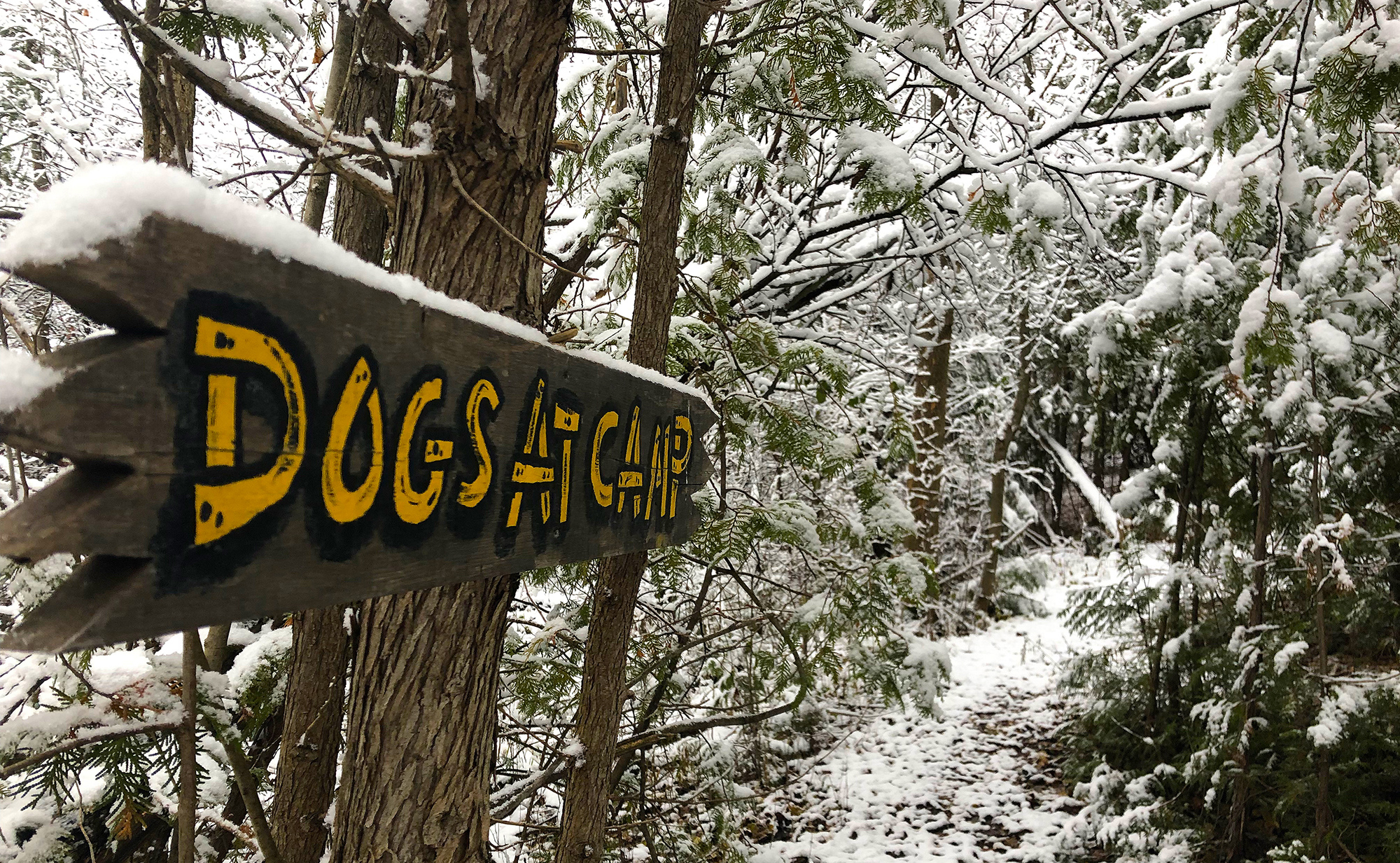 Trail_Winter