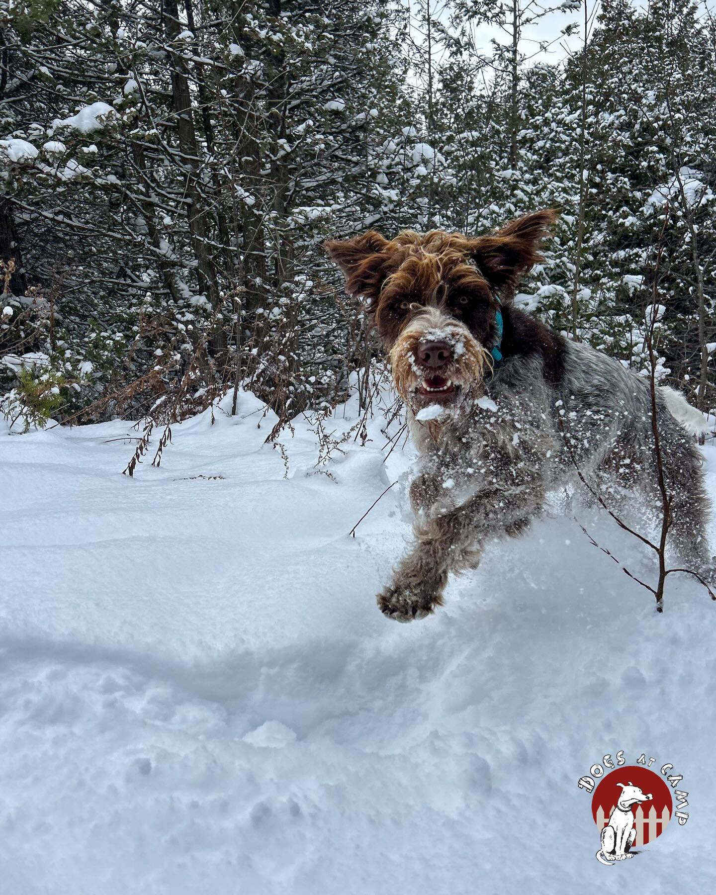 Loving the Snow