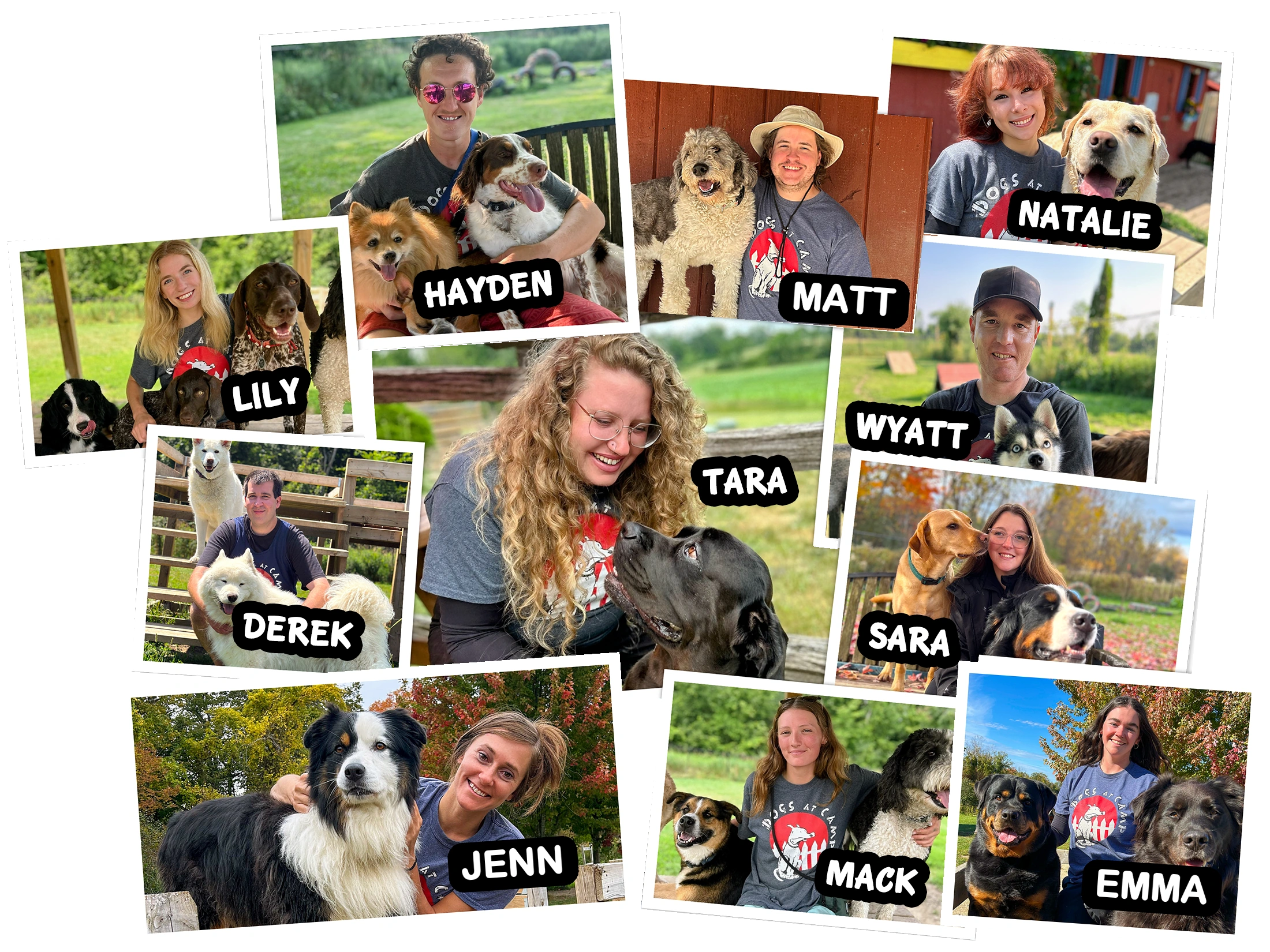 Dogs at Camp team: Lily, Hayden, Matt, Natalie, Wyatt, Tara, Derek, Sara, Jenn, Mack and Emma
