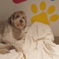 bedtime_4