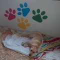 bedtime_9