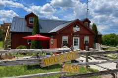 Dogs_at_Camp_Barn