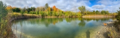 Dogs_at_Camp_Lake
