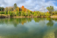 Dogs_at_Camp_Lake