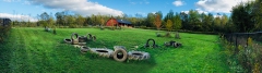 Dogs_at_Camp_PlayPark