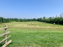 Hay-Field