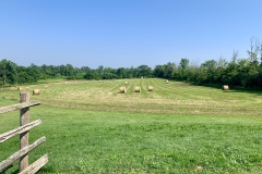 Hay-Field