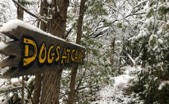 Trail_Winter