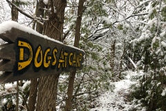 Trail_Winter