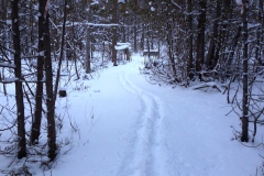 Winter_Trail