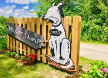 dogs_at_camp
